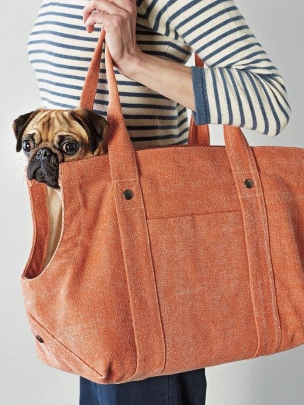 NWT The Company Store Distressed Canvas Dog Totes (S)